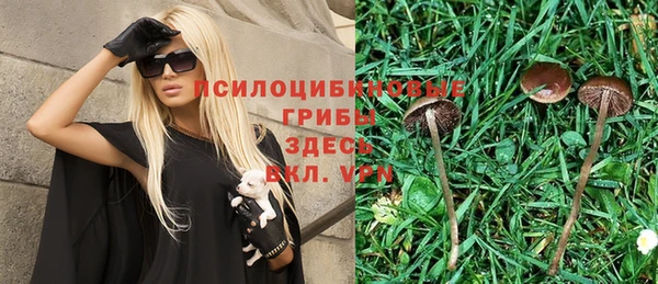 MESCALINE Армянск