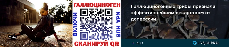 как найти   Армянск  Галлюциногенные грибы Cubensis 